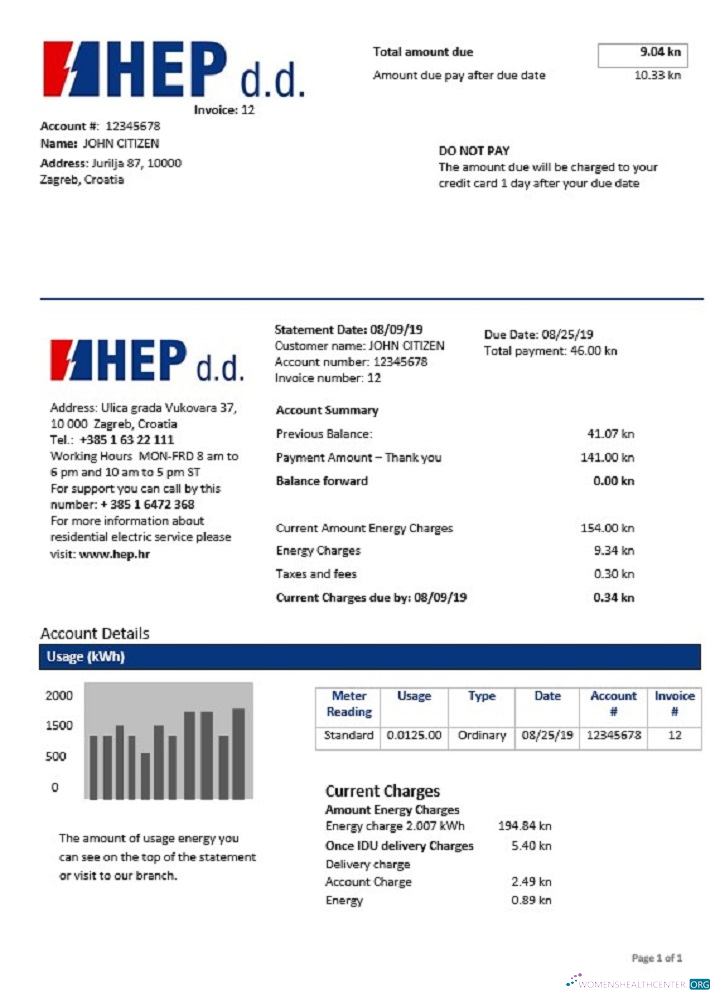 download download Croatia Hrvatska Elektroprivreda electricity utility bill